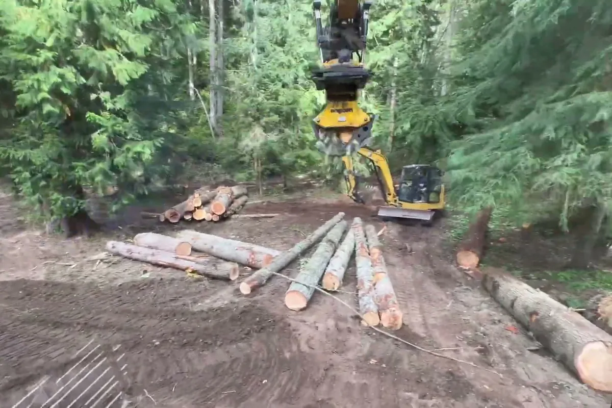 Cut logs lying on cleared ground, with an excavator grapple overhead and a mini excavator parked by the trees